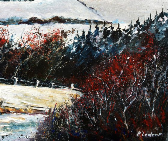 Bois Jacques in winter