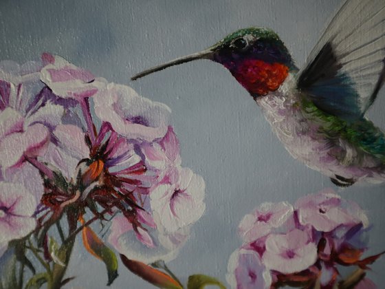 Hummingbird and a Pink Flower