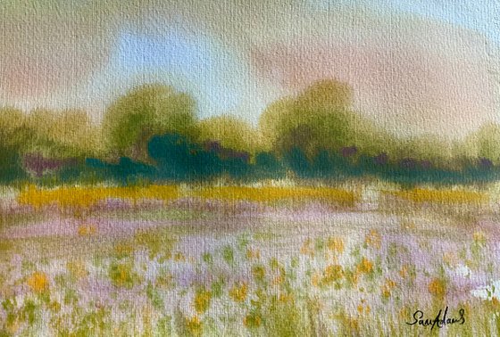 Buttercup meadow sunrise