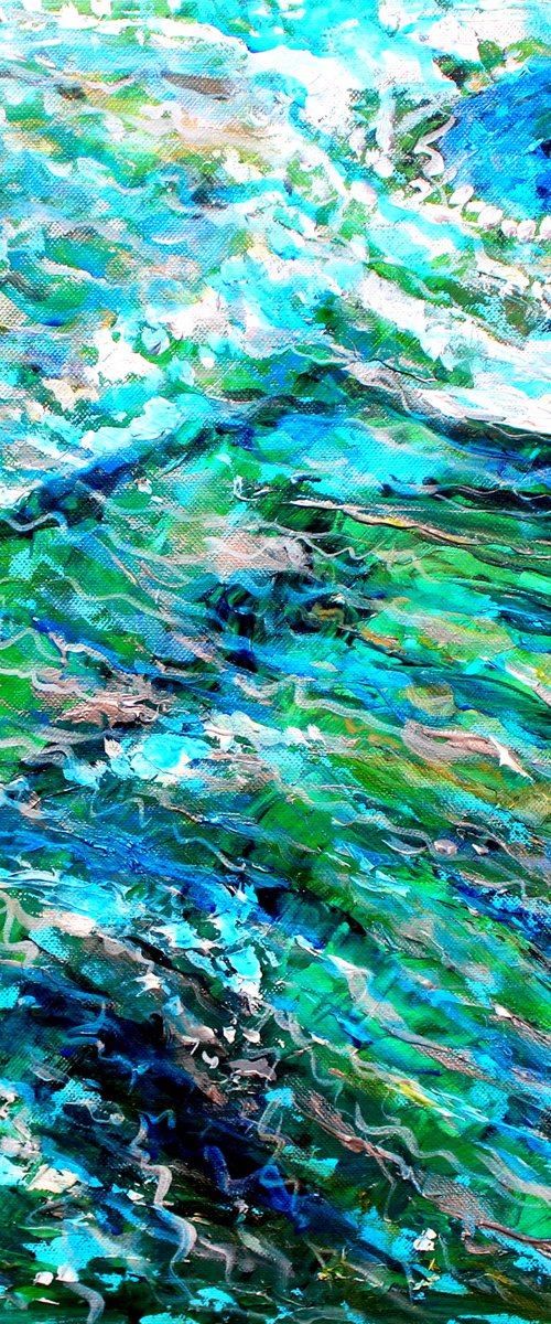 Rock Pool by Paul J Best