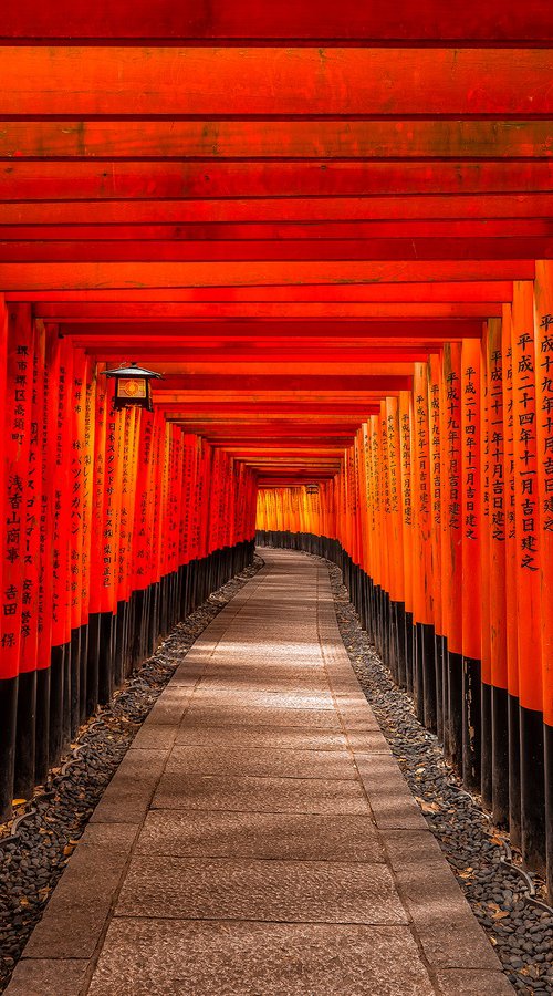 Torii Gates by Nick Psomiadis