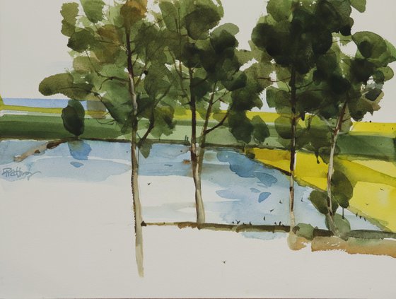 Yellow green composition 6