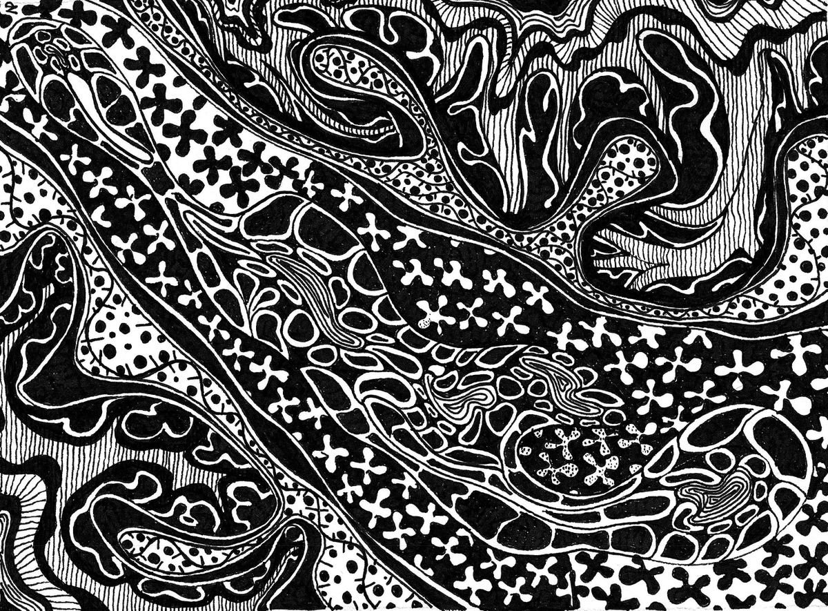 Nives Palmic Original Art Works