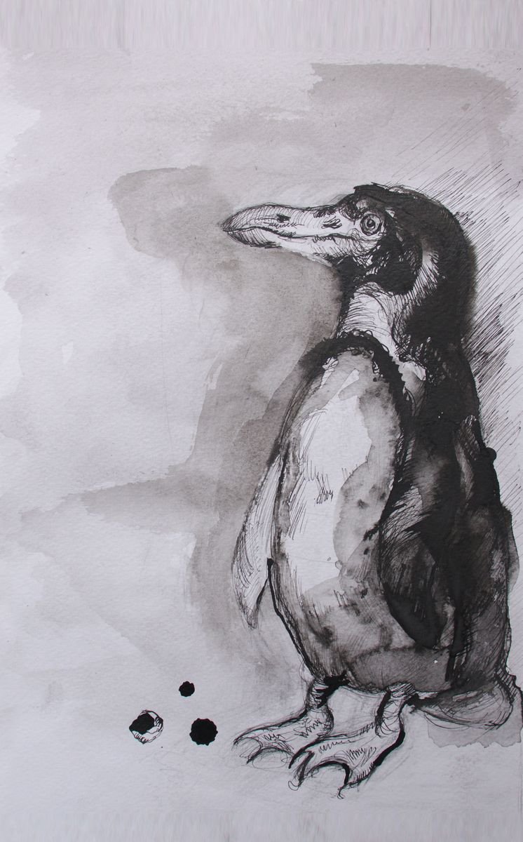 Impressionistic Animal Ink Drawing By Evgeniq Ivanova, 8 X 14, African Penguin, Original Artwork