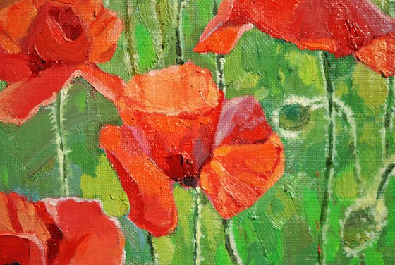 When The Sun Touches The Red