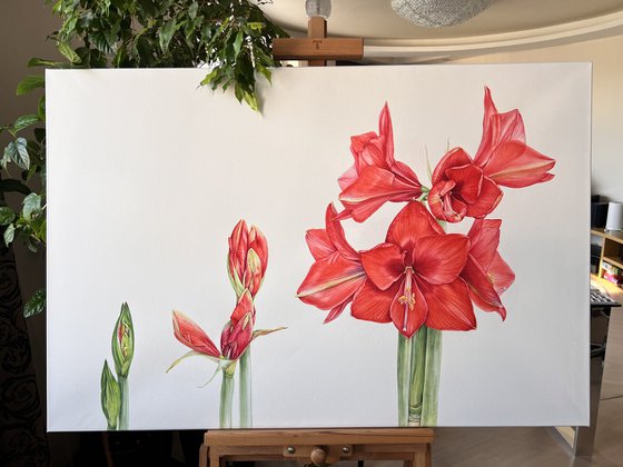 Algorithms of flowering.