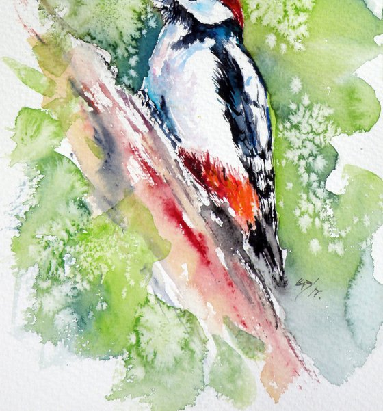 Woodpecker