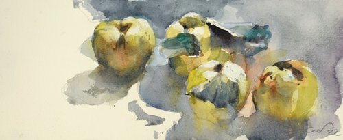 4 quinces by Goran Žigolić Watercolors