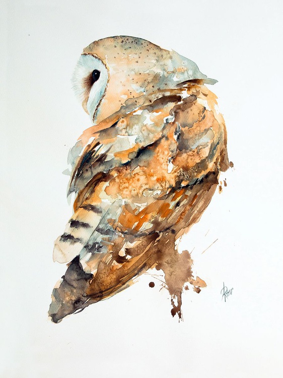 Barn Owl 2019 Watercolour By Andrzej Rabiega Artfinder