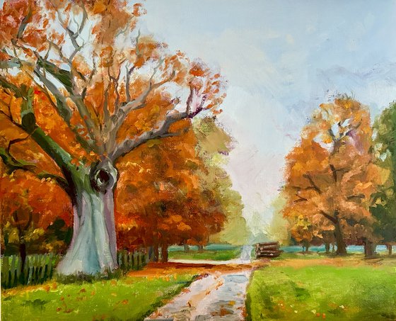 Old Oak