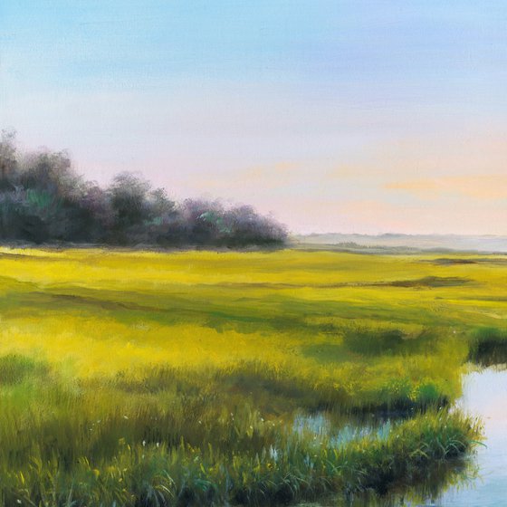 Sunrise over the marshland