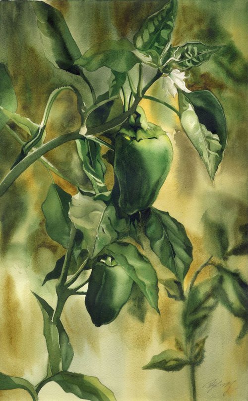 Garden Green Peppers by Alfred  Ng