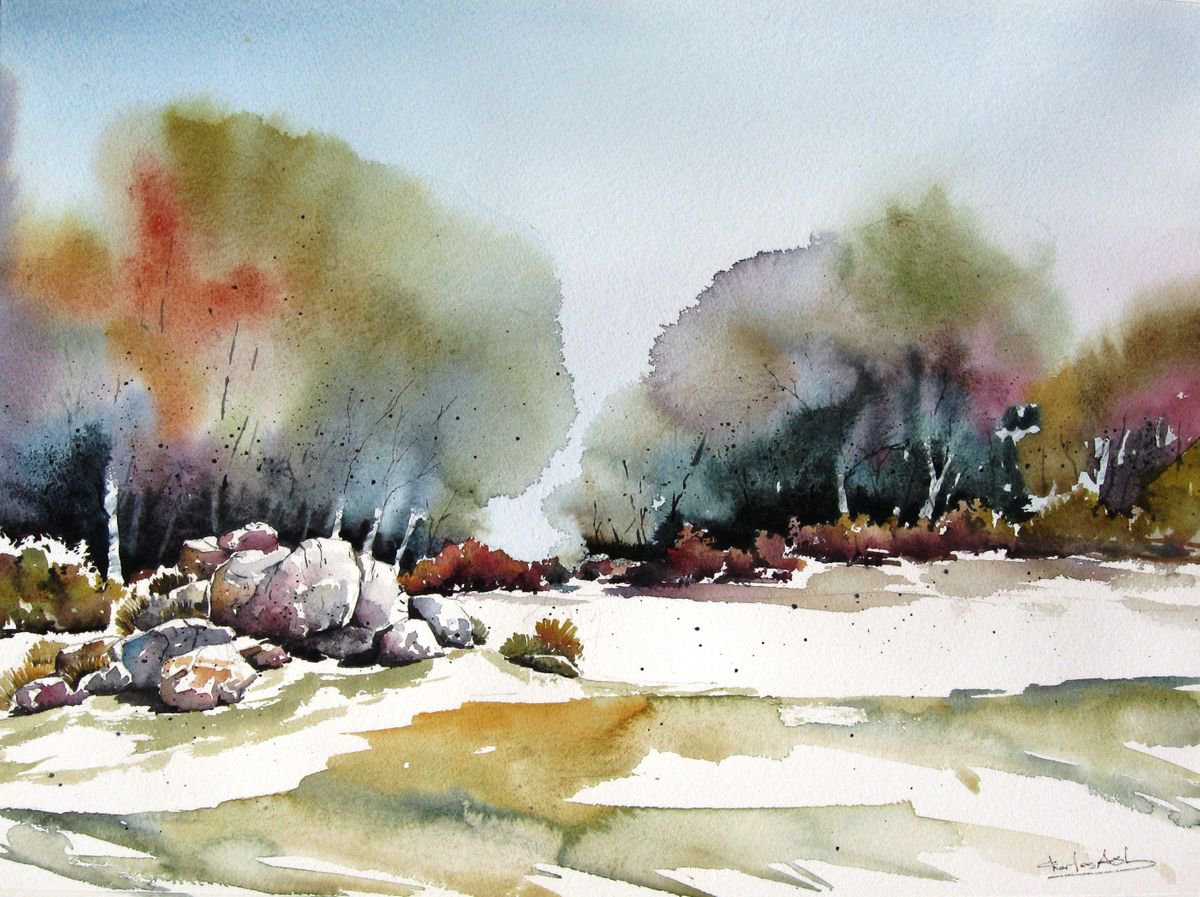 Forest Stones - Original Watercolor Painting by CHARLES ASH