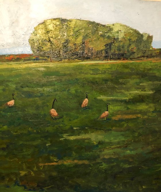 Follow the geese , landscape, oil