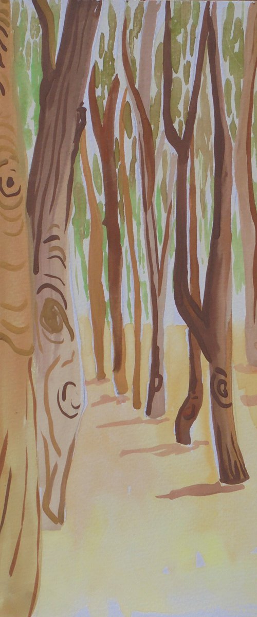 Eucalyptus trees by Kirsty Wain