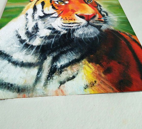 Tiger