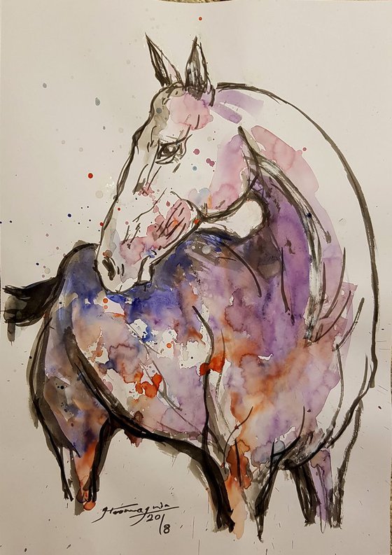 Horse 8