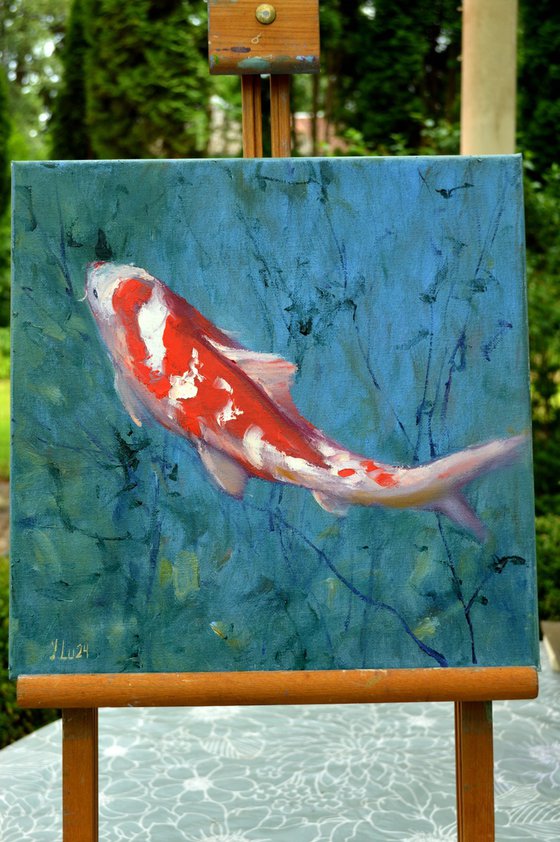 Red Koi carp