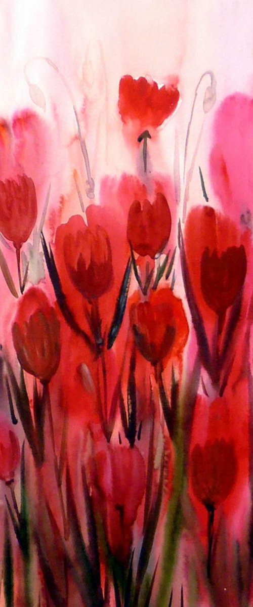 Beauty of Poppies Flowers by Samiran Sarkar
