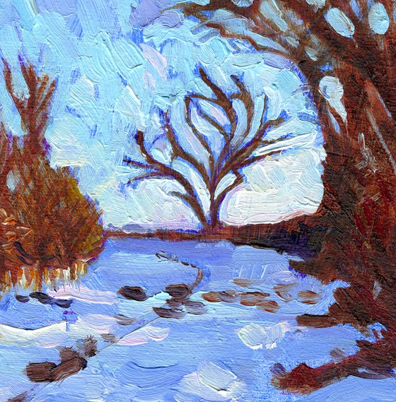 Light Snow - Winter Landscape