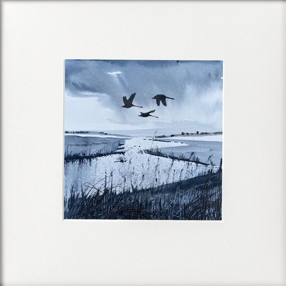 Monochrome - Swans Flying over wetlands