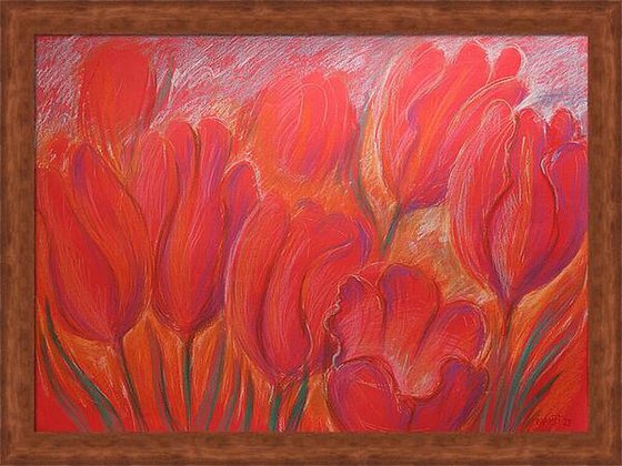 Tulips Red 3