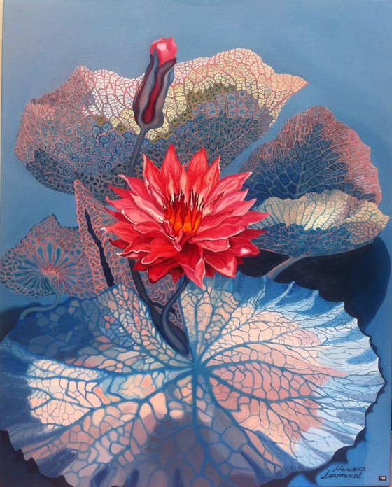 Lotus Lilies