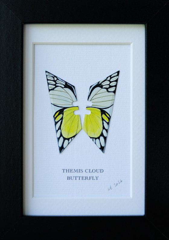 Themis Cloud butterfly