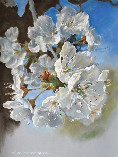 «Profumo di primavera»/«Scent of spring» by Iryna Makovska