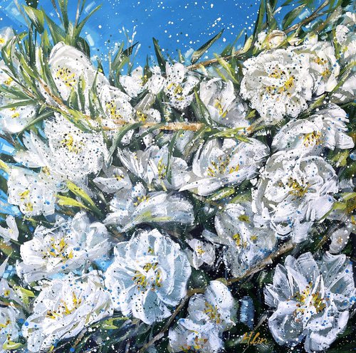 Blue Sky Paradise - White Camellia by HSIN LIN