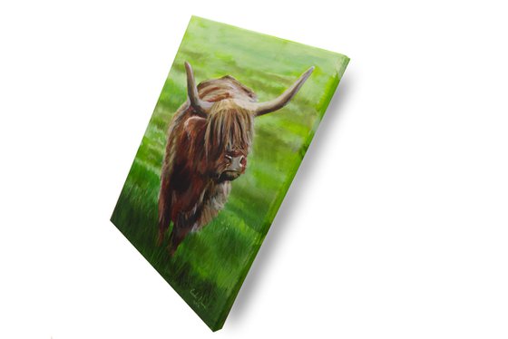 Highland cow painting