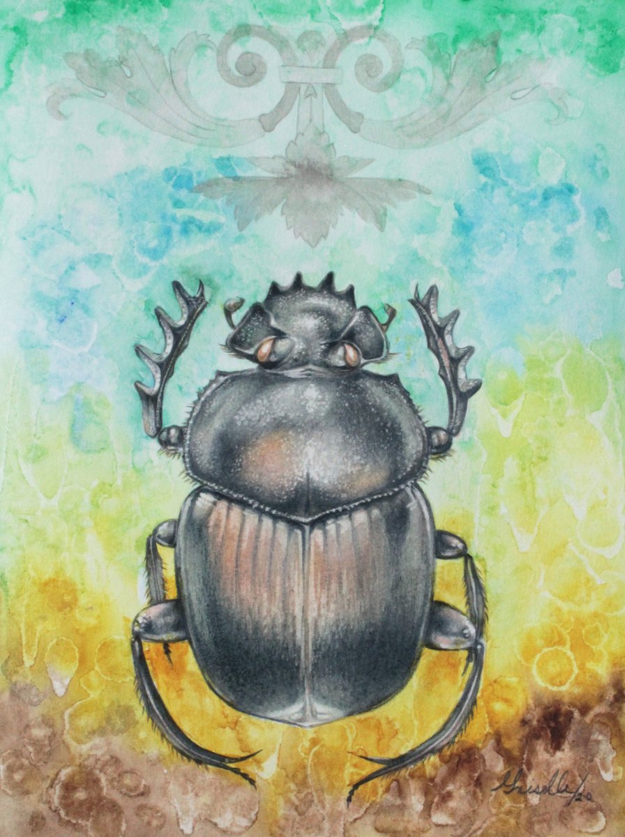 The beetle: spiritual animal. by Griselle Morales Padron