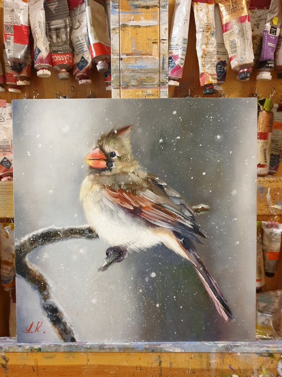 "Snow is falling.  " Cardinal of virgin   birds 2021