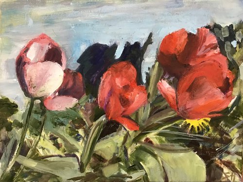 Tulips and Shadows 2 by Sandra Haney