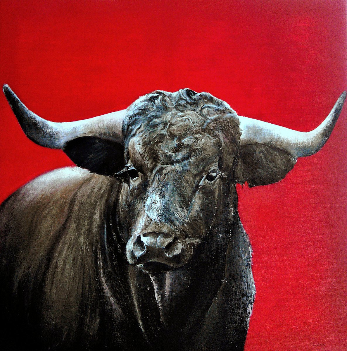 Brave bull on red by TOMAS CASTAi?O
