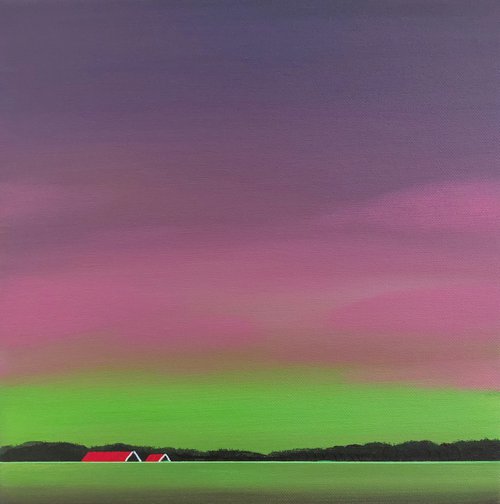Aurora Borealis by Nelly van Nieuwenhuijzen