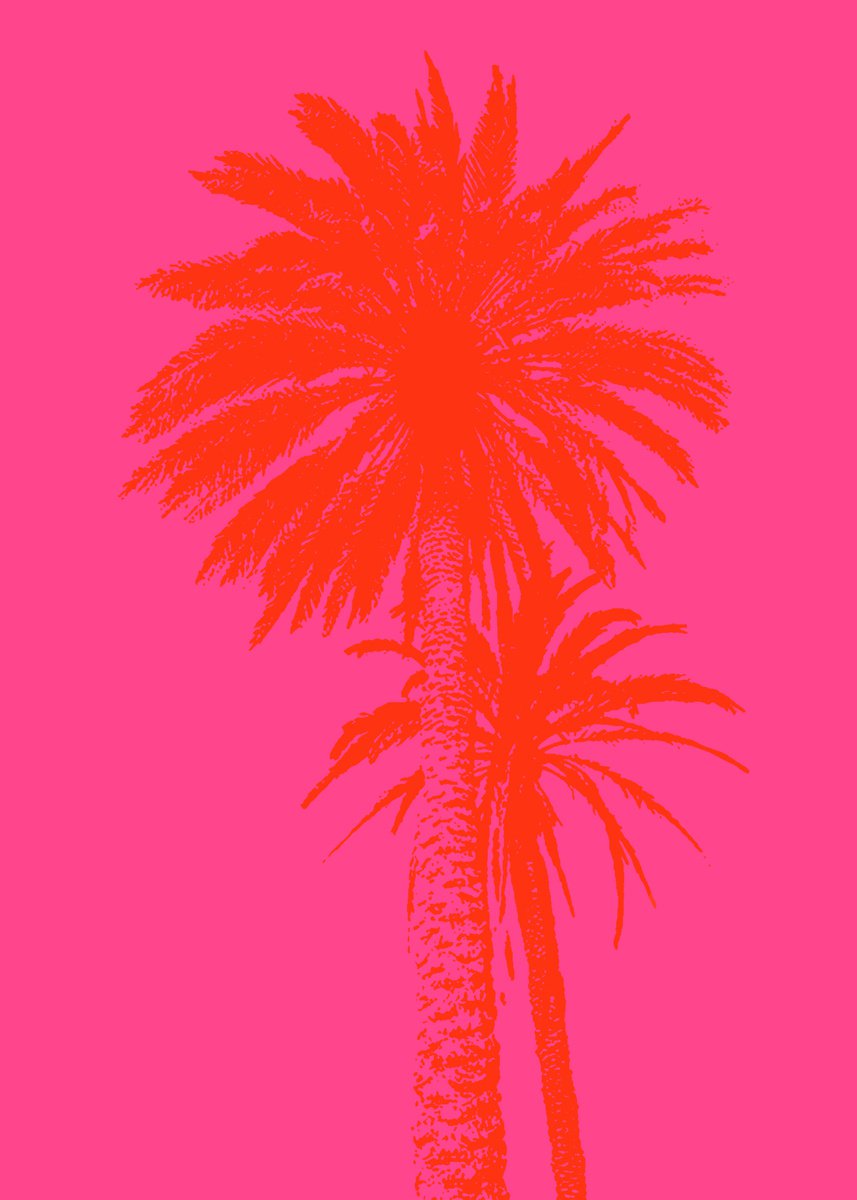 Palm tree_1 | 27,6x19,7 (70x50 cm) by Kosta Morr