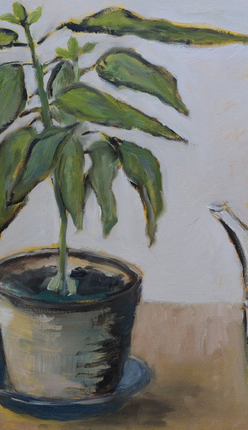 Sketch with avocado tree by Elena Zapassky