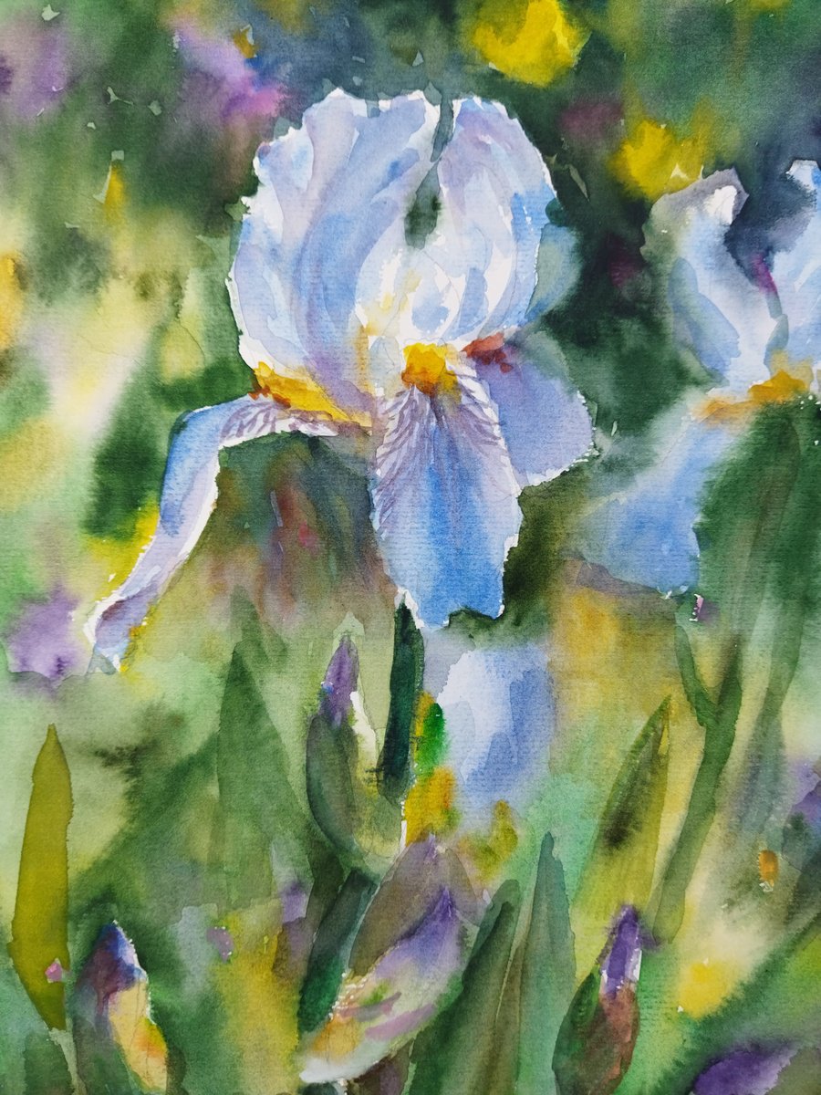 Impressionistic Watercolour , Charming Flowers Of Iris By Ann Krasikova, 11 X 17, Artwork For Sale On Artfinder