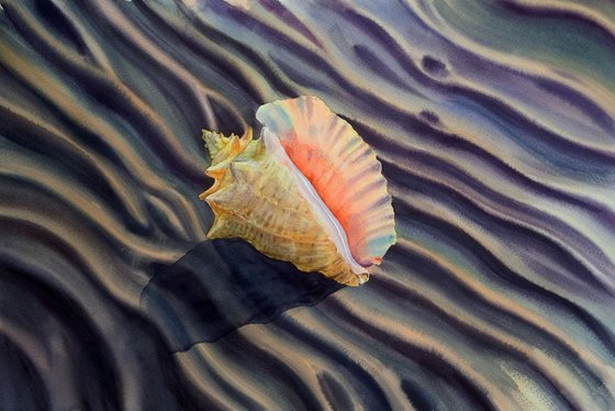 Seashell on the Beach - Sea Shell watercolor painting - Conch Shell - Beach – Summer – Vacation - Shore