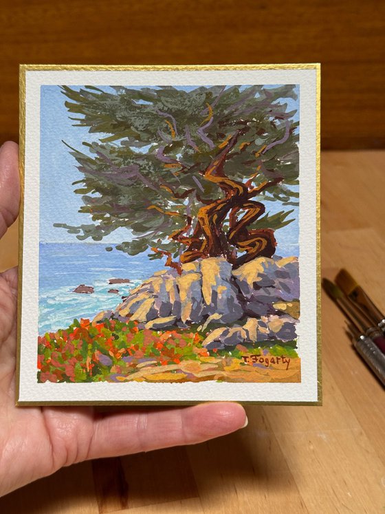 Ghost Trees And Rocks