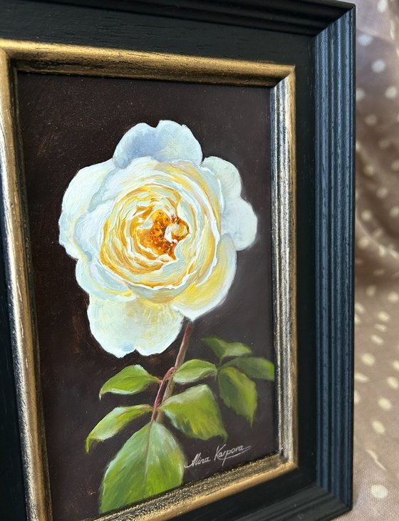 White rose