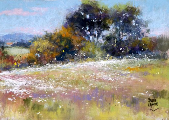 FLOWERING MEADOW