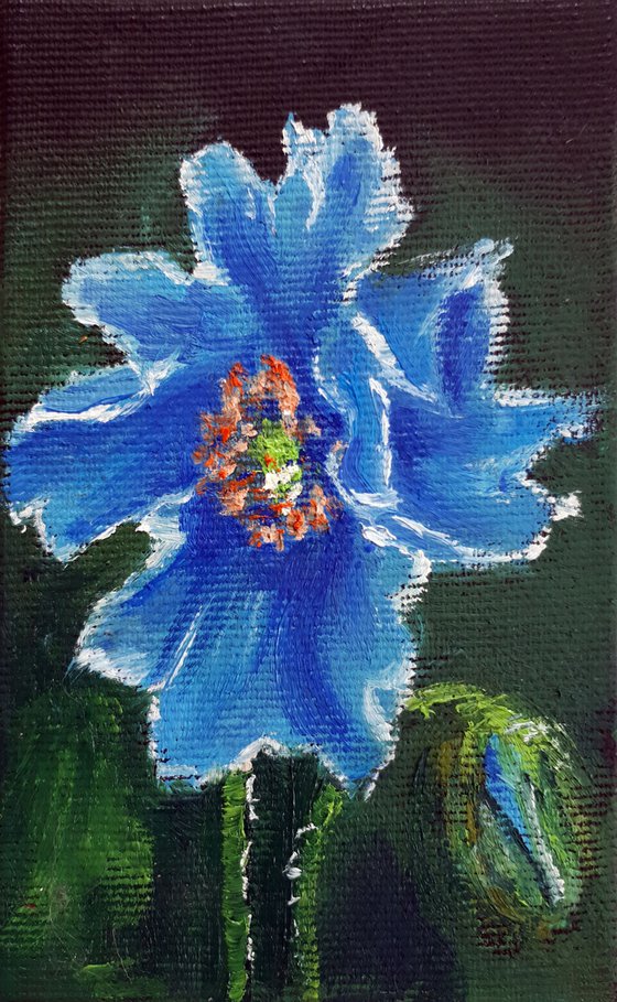 Blue Poppy / FROM MY A SERIES OF MINI WORKS / ORIGINAL OIL PAINTING