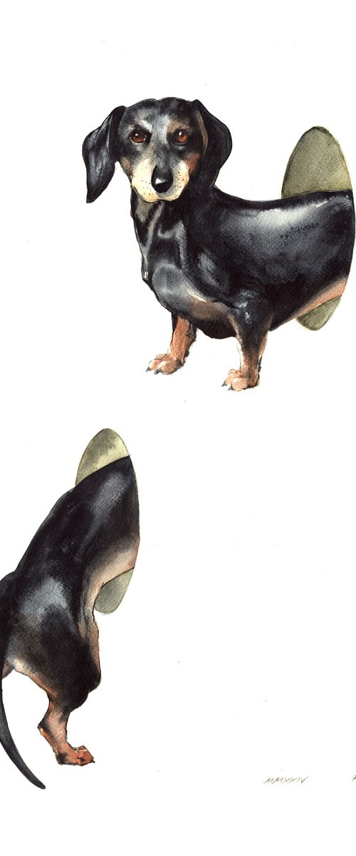 Dachshund (Sausage Dog) by REME Jr.