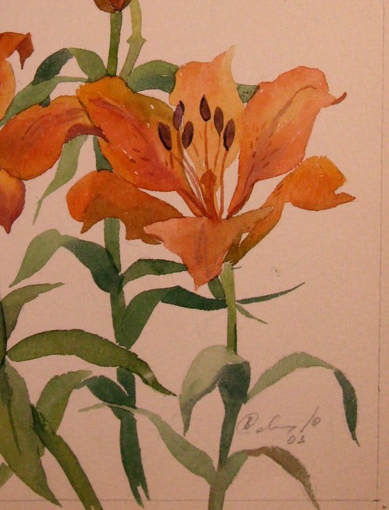 Lilies