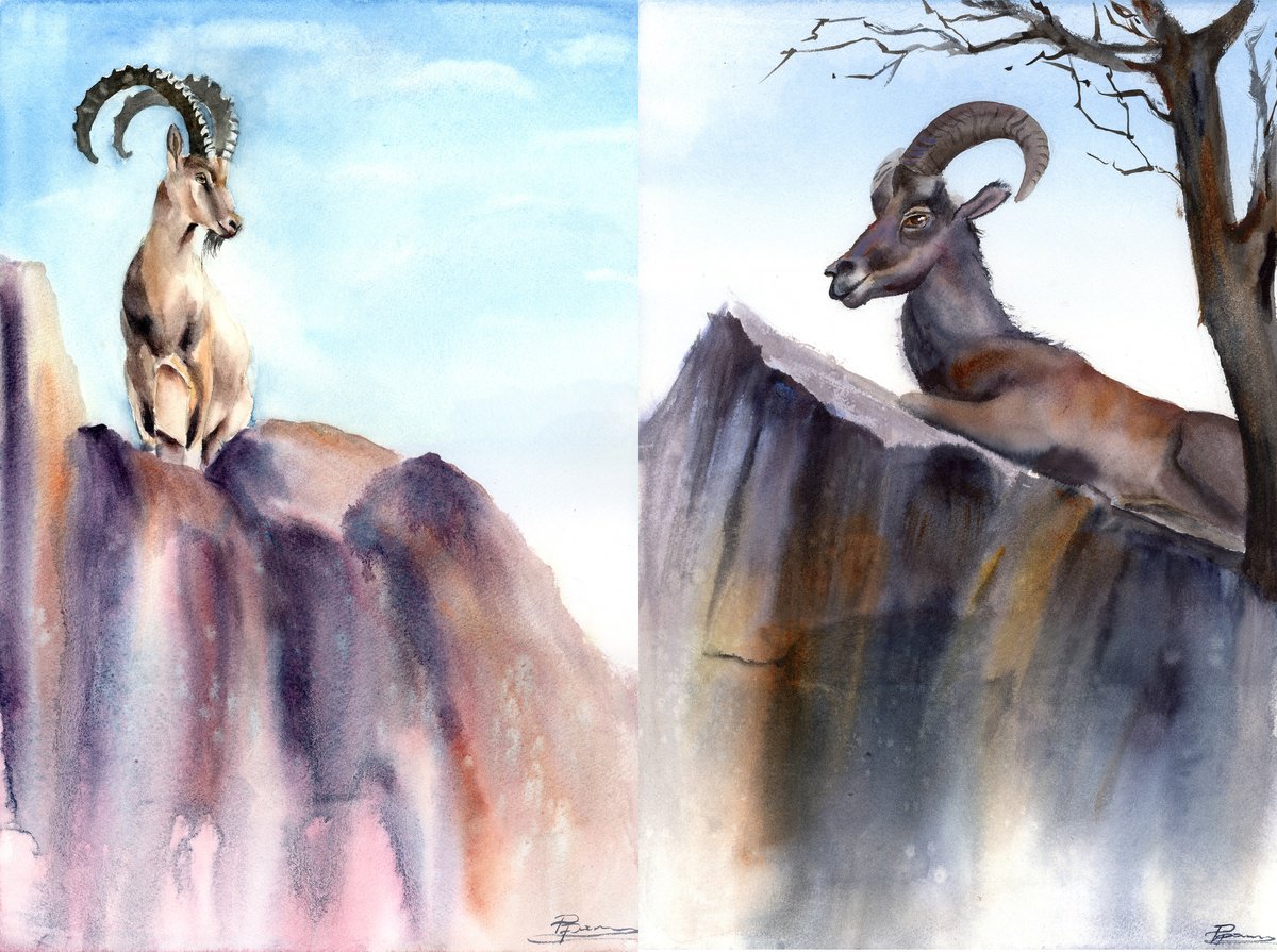 Illustrative Watercolour , Ibex On The Cliff - Diptych By Olga Tchefranov (Shefranov), 24 X 18, Artwork For Sale On Artfinder