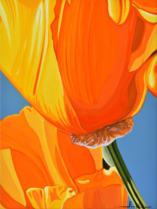 Californian Poppy and Pacific Wind #7 by Alex Nizovsky