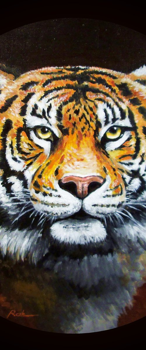 Tiger by Oleh Rak