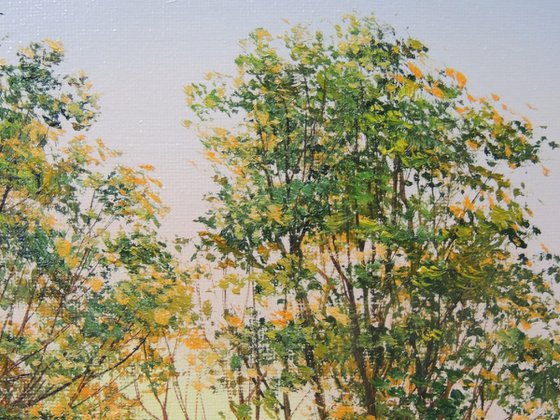 Door Into Summer